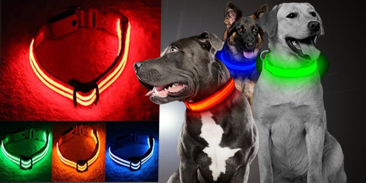 Why Get a Glow LED Light Collar for your Dog