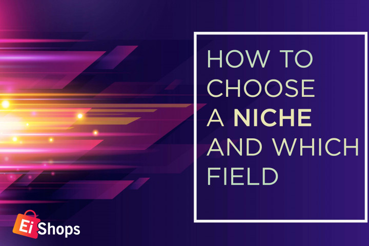How to Choose a Niche and Which Field