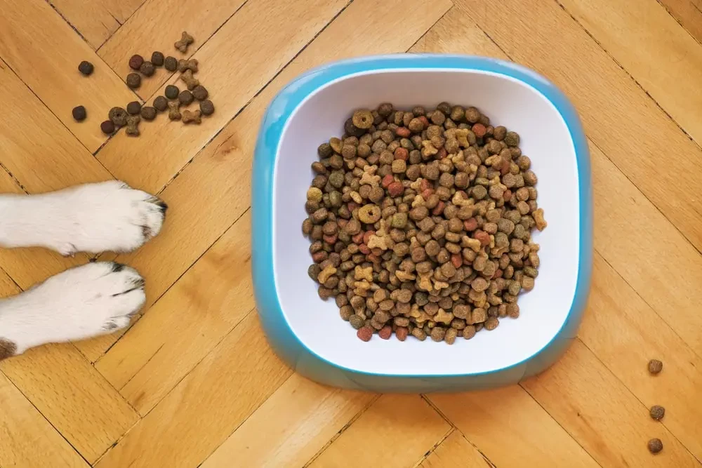 Food For Puppies