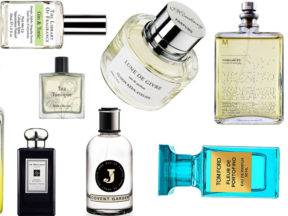 StoresGo Blog | Unisex Fragrances: Top 10 for All Seasons