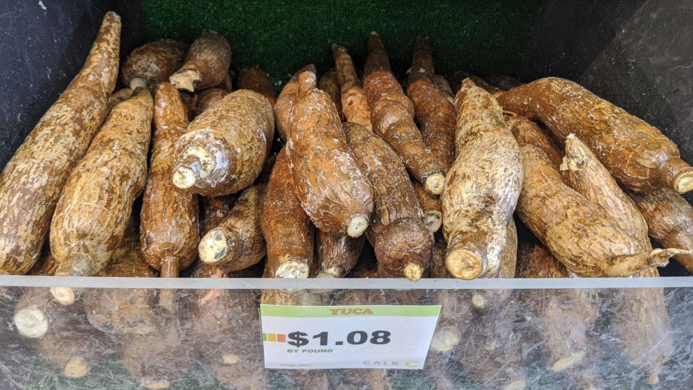 fresh-whole-yuca-root-sold-by-the-pound