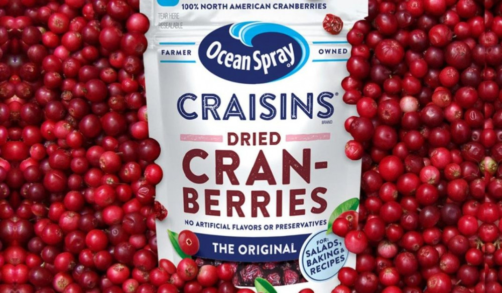 Ocean Spray Craisins Original Dried Cranberries 12 oz