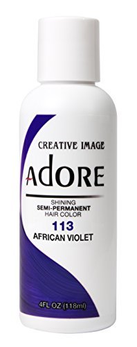 African Violet-113