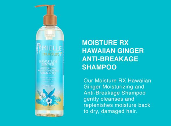 mielle moisture rx hawaiian ginger moisturizing and anti-breakage shampoo