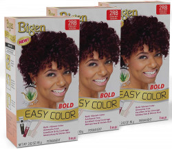 2RB Bigen Easy Color For Women Burgundy
