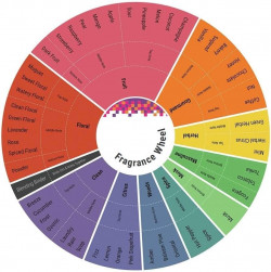 Acqua Di Parisis Majeste Eau De Parfum Spray By Reyane Tradition 100 ml Eau De Parfum Spray