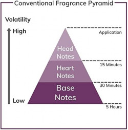 Acqua Di Parisis Majeste Eau De Parfum Spray By Reyane Tradition 100 ml Eau De Parfum Spray