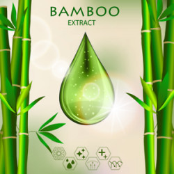 Active Skin Bamboo Extract Powder | Natural Silica 70% | 250g | Active Skin