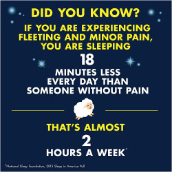 Advil PM Pain Reliever And Nighttime Sleep Aid, Pain Medicine With Ibuprofen For Pain Relief And Diphenhydramine Citrate For A Sleep Aid - 120 Coated Caplets