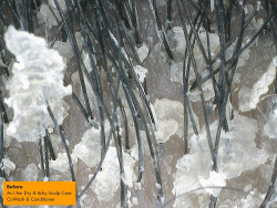 As I Am Dry & Itchy Scalp Care Cowash - 16 ounce - Enriched with Zinc Pyrithione, Olive Oil, and Tea Tree Oil - Fights Dandruff and Seborrheic Dermatitis