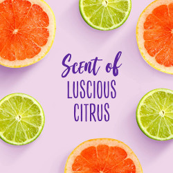 Aussie, ParabenFree Miracle Moist Conditioner w Avocado Jojoba Oil For Dry Hair, Citrus, 12.1 Fl Oz