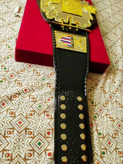 AWA World Heavyweight Wrestling Title Championship Belt Deep Etching 5MM NEW