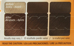 Bigen Permanent Powder Hair Color