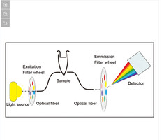 Biobase Sistema de detección de PCR cuantitativa fluorescente Ma-6000 Termociclador cuantitativa en tiempo real