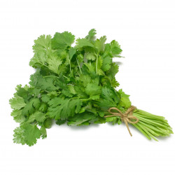 Cilantro - 1 Bunch