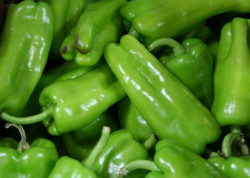Cubanelle Pepper sold by pound
