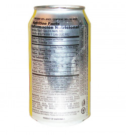 DEL FRUTAL MANGO NECTAR 330 ml (Pack of 24)