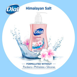 Dial Liquid Hand Soap, Himalayan Pink Salt & Water Lily