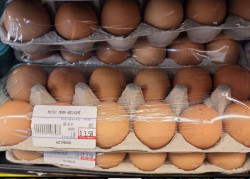 eggs aeinoduu 12 pcs