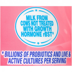 El Mexicano® Saborico® Strawberry Yogurt Drink 28 fl. oz. Bottle