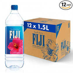 FIJI Natural Artesian Water, 16.9 Fl Oz