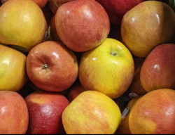Fresh Apple Sold By Pound