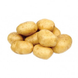 Fresh Produce Potato Loose sold by pound