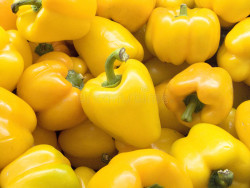 Fresh Yellow Bell Pepper, Each