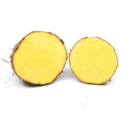 Fresh Yellow Yam, sold by the pound