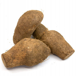 Fresh Yellow Yam, sold by the pound