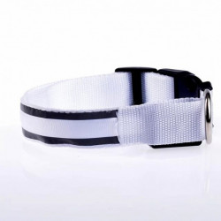Glow LED Light | Dog Collar l Free shipping