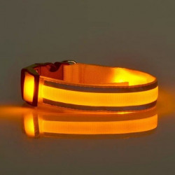 Glow LED Light | Dog Collar l Free shipping