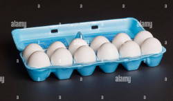 Grade A Large Eggs 1 Dozen