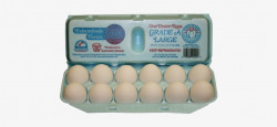 Grade A Large Eggs 1 Dozen