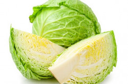 Green cabbage sold by pound