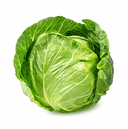 Green cabbage sold by pound