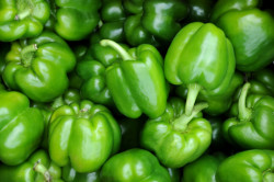 Green pepper Sold by pound