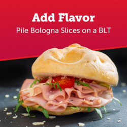 Gwaltney Original Chicken Bologna, 16 oz