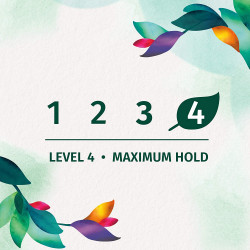 Herbal Essences Body Envy Volumizing Hairspray with Citrus Essences, 8 oz