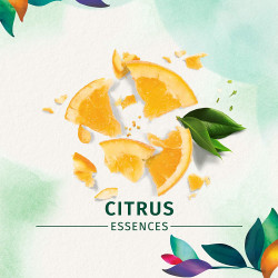 Herbal Essences Body Envy Volumizing Hairspray with Citrus Essences, 8 oz