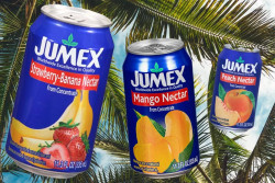 Jumex Mango,Guava,Apricot,Strawberry,Banana, Nectar from Concentrate, 11.3 Fl. oz.