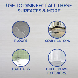 Lysol All Purpose Cleaner Spray, Mandarin & Ginger Lily, 32 oz, Brand New Day