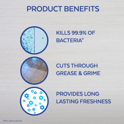 Lysol Clean & Fresh Multi-surface Cleaner, Cool Adirondack Air Scent, 48 oz