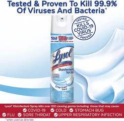Lysol Disinfectant Spray, Sanitizing And Antibacterial Spray 19 Fl. Oz
