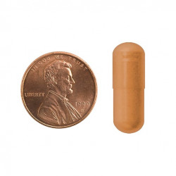 Mason Natural Cinnamon 1000 mg - Healthy Blood Sugar Metabolism, Supports Heart and Circulatory Health, 100 Capsules