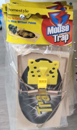 Mouse trap...Home style
