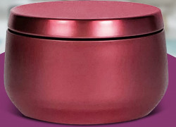 Candles Vanilla The Best Candles For Home NYP Exotic