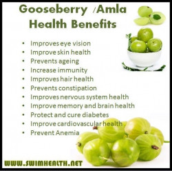 Organic Amla Berry Powder | Ayurvedic Hair Remedy | Multipurpose |