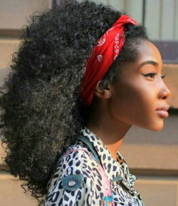 1 Bag Fenugreek Seeds