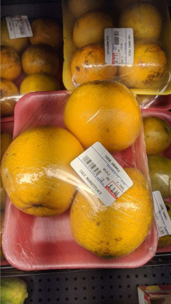 Packed Sour Orange, Sold By The Pound